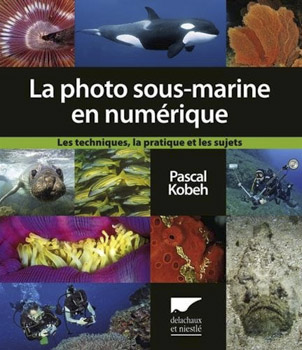 photo-sous-marine-numerique.jpg