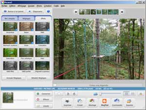Picasa
