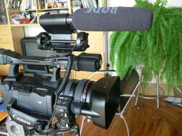 videmic