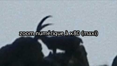 zoom-numerique.jpg