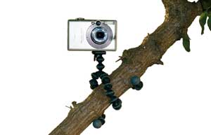Gorillapod2.jpg