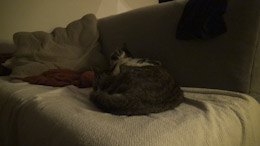 Test Sony HDR-CX700