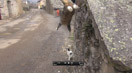 video3.jpg