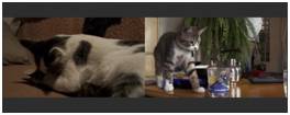 FCPX colorisation