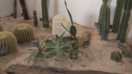 C0084.jpg