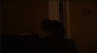 Sony HDR-FX1