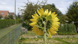 test Lumix DMC-GH1