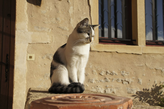Sony NEX-VG10 mode Photo