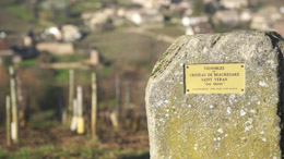 VG900