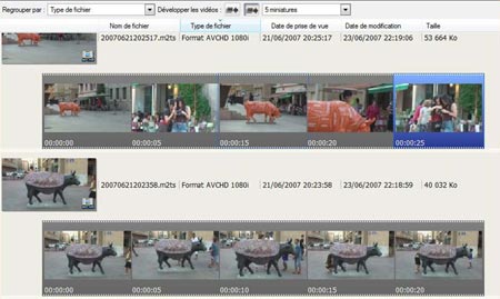 Picture Motion Browser