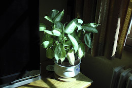 photo Panasonic HDC-TM300