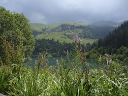 Lumix TZ5