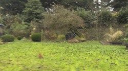 AA007301.jpg