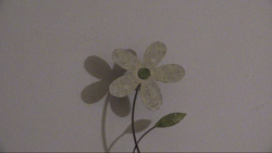 AA008201.jpg