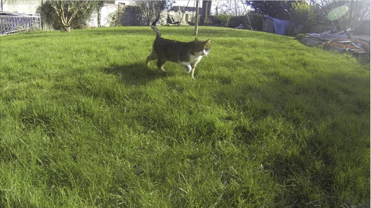 chat.jpg