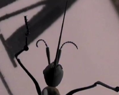 video282.jpg
