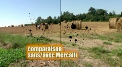 video316.jpg
