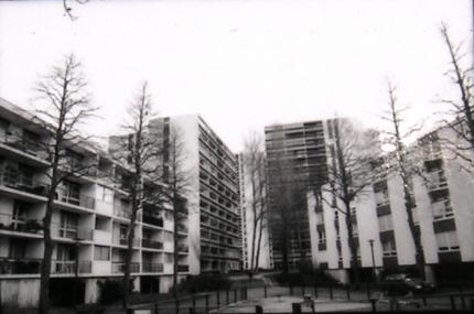 410.jpg