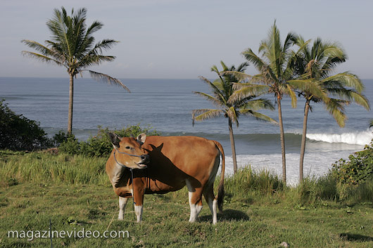 paysage photo vido