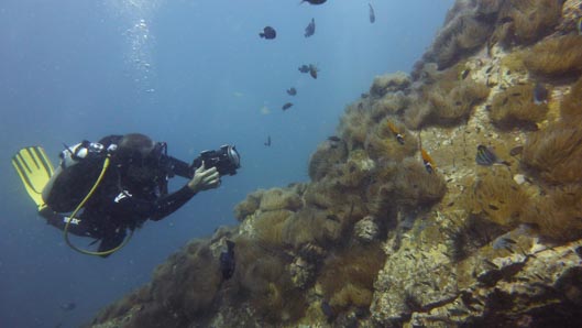 Comment bien filmer sous l'eau ? Nos conseils et astuces