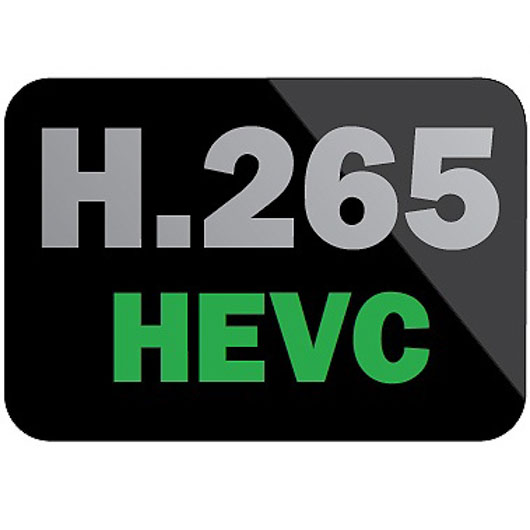 H265