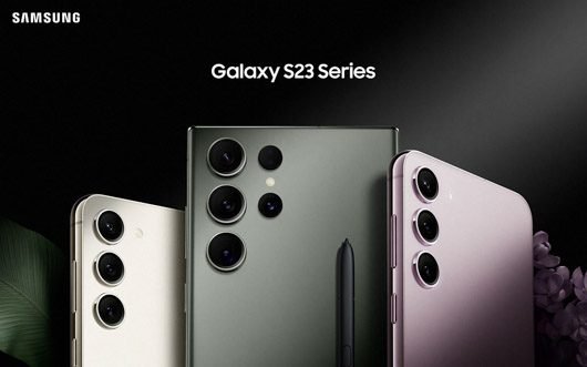 tanchit tropicalisation