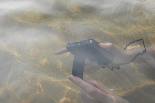 tanchit tropicalisation