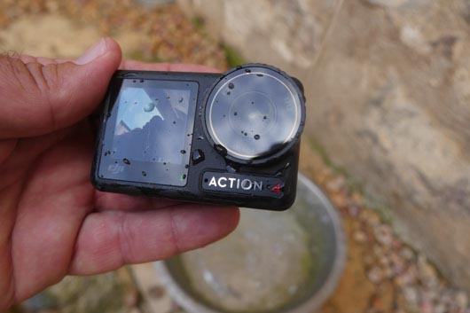 tanchit tropicalisation