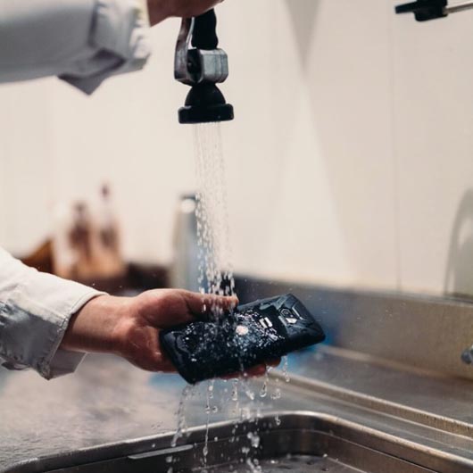 tanchit tropicalisation