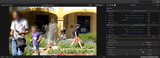 fcpx flou 2