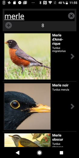 ornithopedia