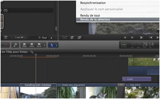 FCPX rendu