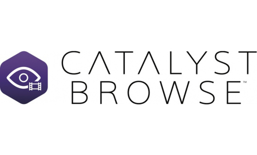 sony catalyst browse