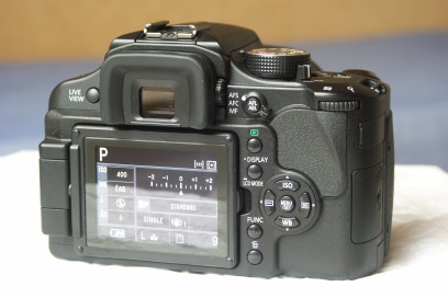 Panasonic L10