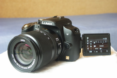 Panasonic L10