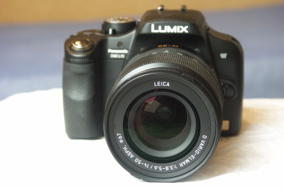 Panasonic L10