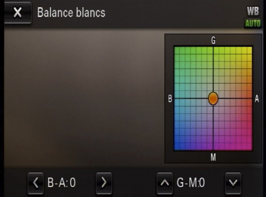 NEX-VG900 balance
