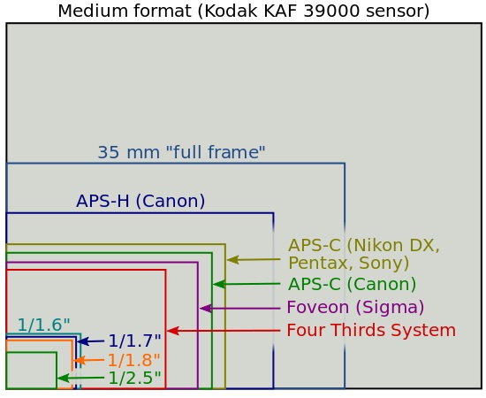 NEX-Vg30