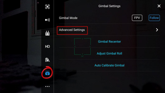 Gimbal adjust