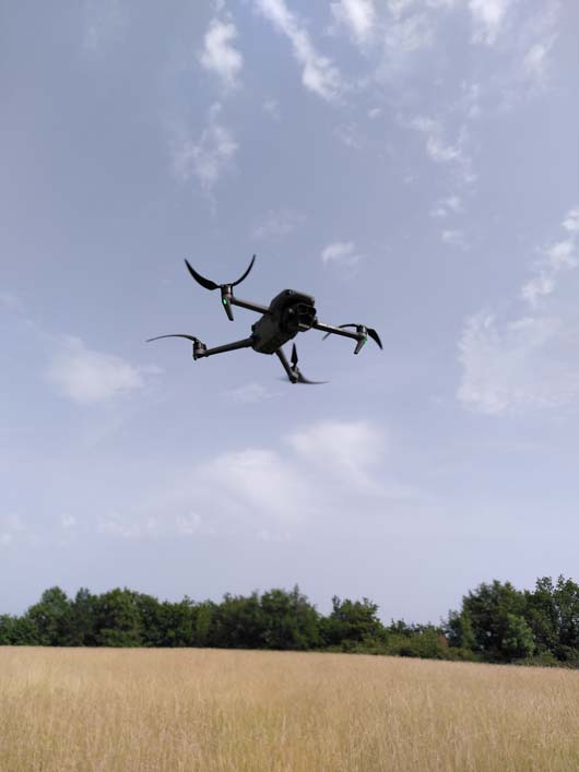 drone bruit d'esaim d'abeilles