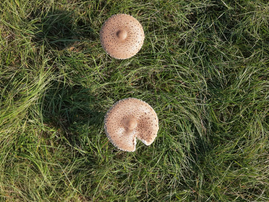 DJI Mini 5 pro photo jpeg