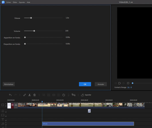 ease us video editor 