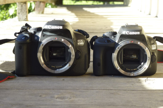 Eos 650D et 100D