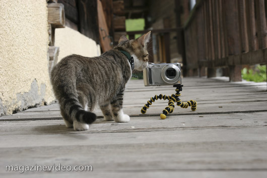 Gorillapod