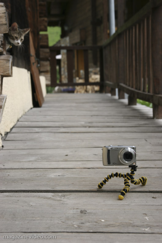 Gorillapod