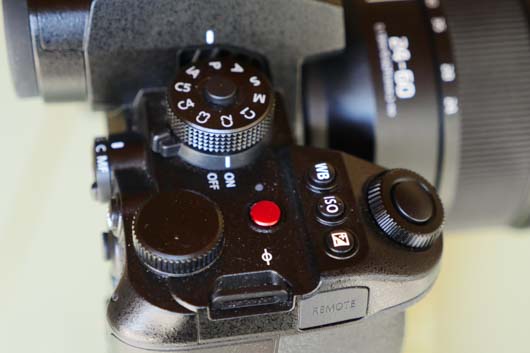 DC-S1 II E