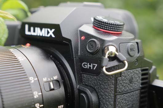 Tally GH7