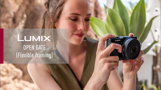 Lumix open gate