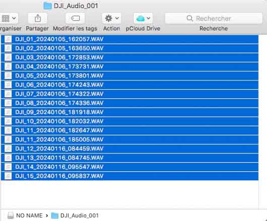 no name dji audio