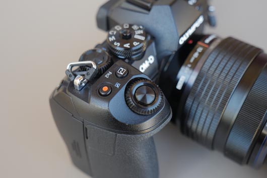 Om-D EM-1